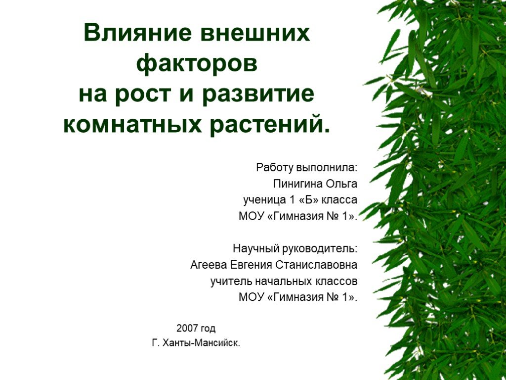 Влияние внешних факторов на рост и развитие растений проект