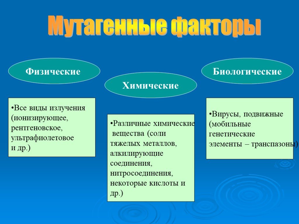 Мутагены проект по биологии