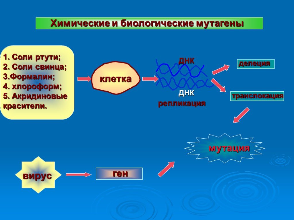 Химико биологический. Мутагены физические химические биологические таблица. Мутагены физические химические биологические. Биологические мутагены механизм действия. Химические мутагены примеры.