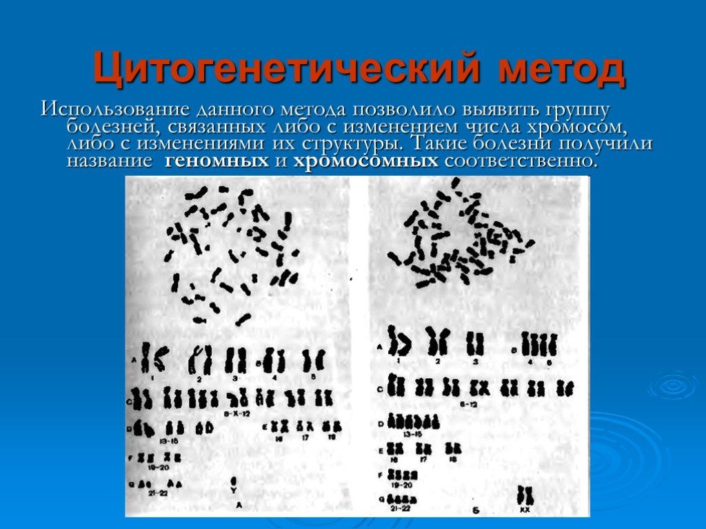 Цитогенетический метод картинки для презентации