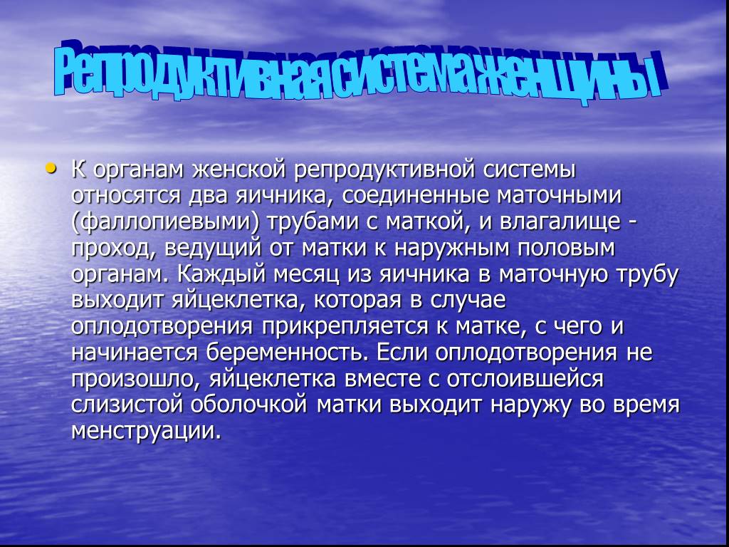 Презентация на тему мужская и женская репродуктивная система