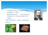 Существование вирусов было доказано в 1892г Д.И.Ивановским при изучении мозаичной болезни растений табака ВИРУСОЛОГИЯ- наука, изучающая вирусы