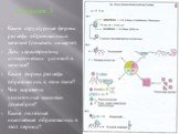 Какие структурные формы рельефа образовались в мезозое (показать на карте). Дать характеристику климатических условий в мезозое? Какие формы рельефа образовались в этом этапе? Чем выражены «остаточные массивы» докембрия? Какие полезные ископаемые образовались в этот период? Станция 3