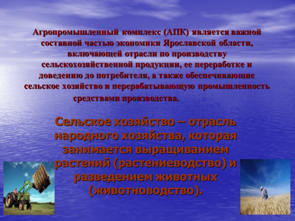 Важной составной частью. Отрасли сельского хозяйства Ярославской области. Отрасли экономики Ярославля. Сельское хозяйство Ярославской области презентация. Отрасли экономики Ярославской области 4 класс.