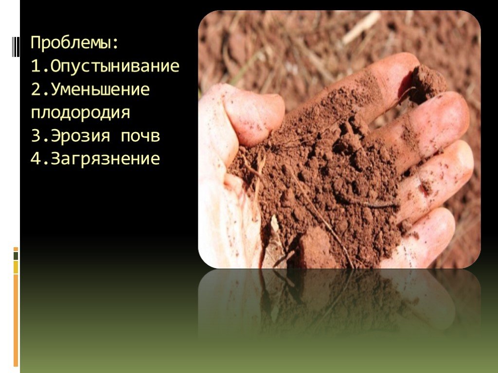 Камень плодородия 3. Проблема плодородия почв. Уменьшение плодородия почвы. Природное плодородие почвы. Загрязнение плодородной почвы.