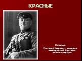 Котовский Григорий Иванович – командир кавалерийской бригады, дивизии, корпуса