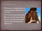 МАМОНТЫ. Обитали ли мамонты на территории современной России? Что из них изготавливали? Жалко ли вам мамонтов? Какой самый известный персонаж-мамонт вам известен?