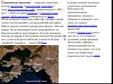 Саламинское сражение — морское сражение между греческим и персидским флотами в ходе греко-персидских войн, произошедшее в 480 г. до н. э. близ острова Саламин в Сароническом заливе Эгейского моря неподалёку от Афин. Битве предшествовал ряд событий, которые могли существенно повлиять на дальнейший хо