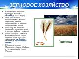 Важнейшая зерновая культура России – пшеница (50% сбора). Она достаточно теплолюбива и плохо переносит кислые подзолистые и дерново-подзолистые почвы. Поэтому её посевы в основном сосредоточены в южных районах страны. Из-за сурового климата России основная часть посевов этой культуры приходится на я