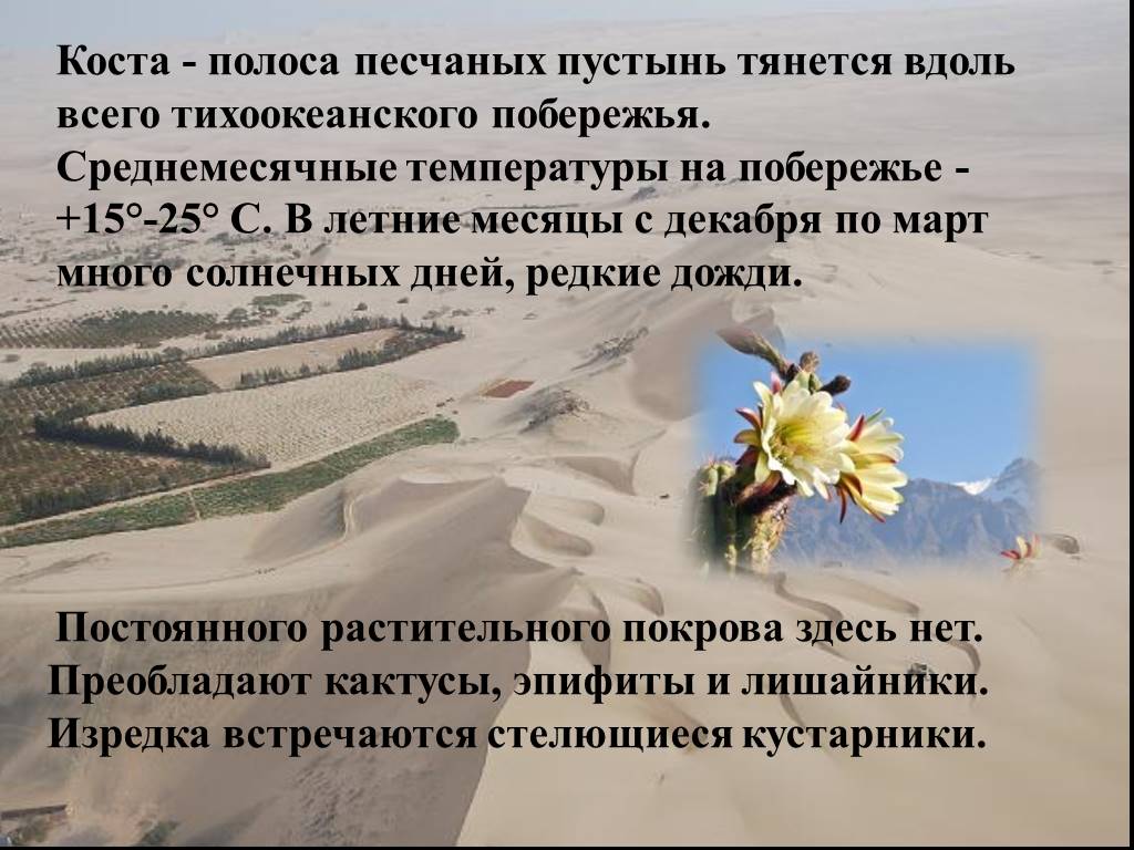 Облако промчалось по склону протянувшийся вдоль побережья. Презентация по Перу географии 7. Презентация на тему Перу география 7 класс. Страны анд Перу презентация 7 класс. Стихотворение Песчаная полоса.