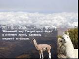 Животный мир Сьерры представлен в основном ламой, альпакой, викуньей и гуанако.