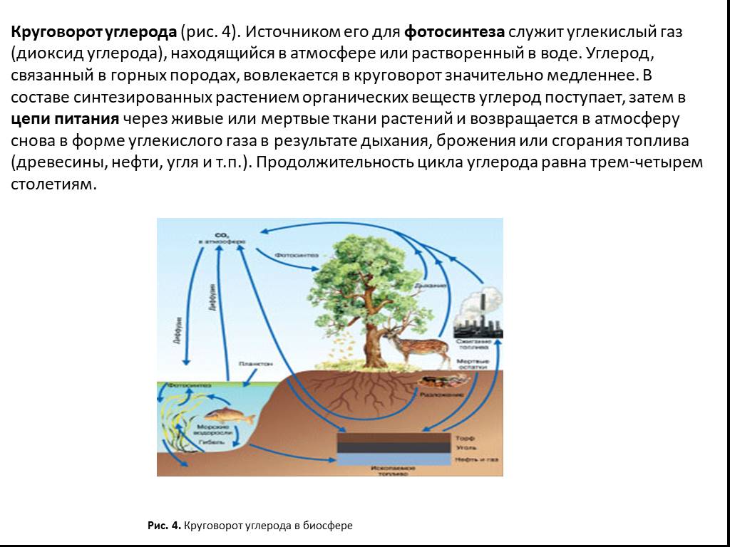 Углекислый газ функции в биосфере. Фотосинтез растений круговорот веществ в биосфере. Круговорот углерода (по ф. Рамад, 1981). Круговорот углерода в биосфере. Круговорот воды и углерода в биосфере.