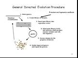 General Directed Evolution Procedure. Random mutagenesis methods