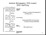 Random Mutagenesis (PCR based) DNA Shuffling. DNase I treatment (Fragmentation, 10-50 bp, Mn2+). Reassembly (PCR without primers, Extension and Recombination). PCR amplification