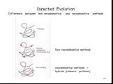 Directed Evolution Difference between non-recombinative and recombinative methods. Non-recombinative methods. recombinative methods -> hybrids (chimeric proteins)