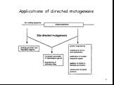 Applications of directed mutagenesis