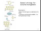 General strategy for directed mutagenesis. Requirements: DNA of interest (gene or promoter) must be cloned Expression system must be available -> for testing phenotypic change