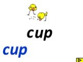 c u p cup