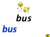 b s bus