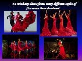 As with any dance form, many different styles of flamenco have developed.