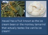 Hawaii has a fruit known as the ice cream bean or the monkey tamarind that actually tastes like vanilla ice cream!