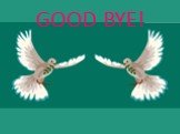 GOOD BYE!