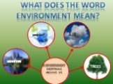 MOUNTAIN TREES AIR water Everything around us. WHAT DOES THE WORD ENVIRONMENT MEAN? IS ENVIRONMENT
