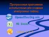 Программные приложения используемые для создания электронных таблиц. Openoffice.Org calc MS Excel Lotus 1-2-3