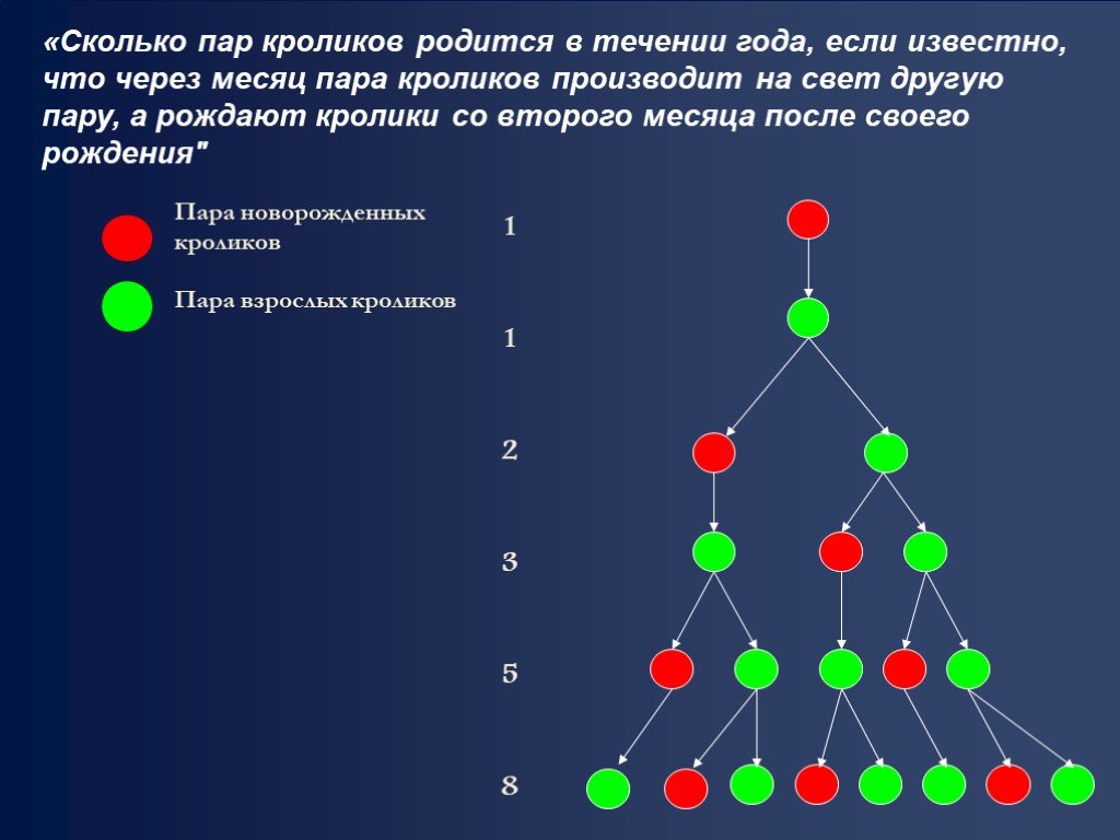 Проект по математике на тему числа фибоначчи