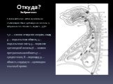 Откуда? Эмбриогенез. Схема наиболее частой аномальной локализации ткани щитовидной железы (у эмбриона) (по Werner S., Ingbar S., 1978). 1,2 — слепое отверстие и корень языка; 3 — подъязычная область; 4 — подъязычная кость; 5 — перешеек щитовидной железы; 6 — нижняя претрахеальная область; 7 — средос