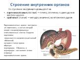 Строение внутренних органов. По строению внутренние органы делят на: паренхиматозные (плотные) — печень, селезенка, поджелудочная железа и другие. трубчатые (полые) — желудок, кишечник, мочеточники и другие. Паренхиматозные органы построены из паренхимы, в состав которой входят специализированные (э