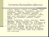Антигены Haemophilus influenzae. У палочки инфлюэнзы выделяют К- и О-антигены. Видовая антигенная специфичность обусловливается капсульным полисахаридом. Капсульные штаммы на основании различия в капсульном полисахариде разделяются на несколько сероваров: а, b, с и т.д. Некапсульные штаммы имеют тол