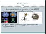 Возбудитель. фильтрирующийся вирус из группы РНК- геномных вирусов, род Paramyxovims (впервые был выделен в 1934 г. Джонсоном и Э. Гудпасчером).