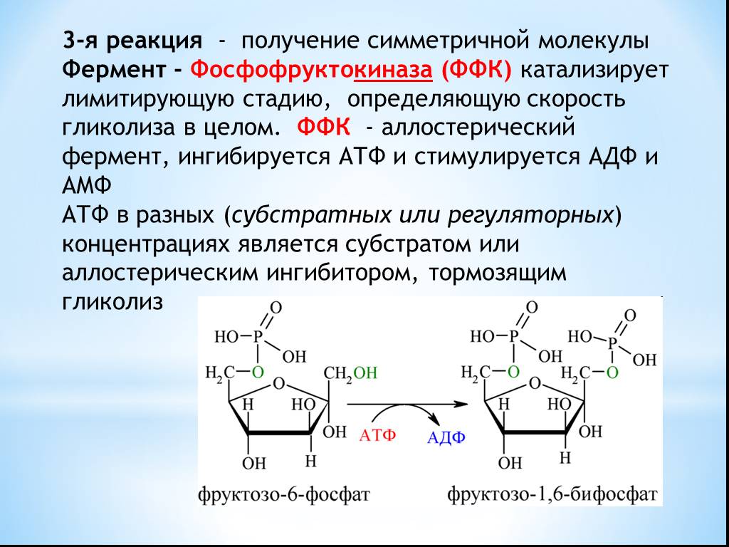 Ферменты катализирующие синтез. Аллостерическим ингибитором фосфофруктокиназы гликолиза. Фосфофруктокиназа гликолиз. Фосфофруктокиназа реакция. Фосфофруктокиназа кофермент.