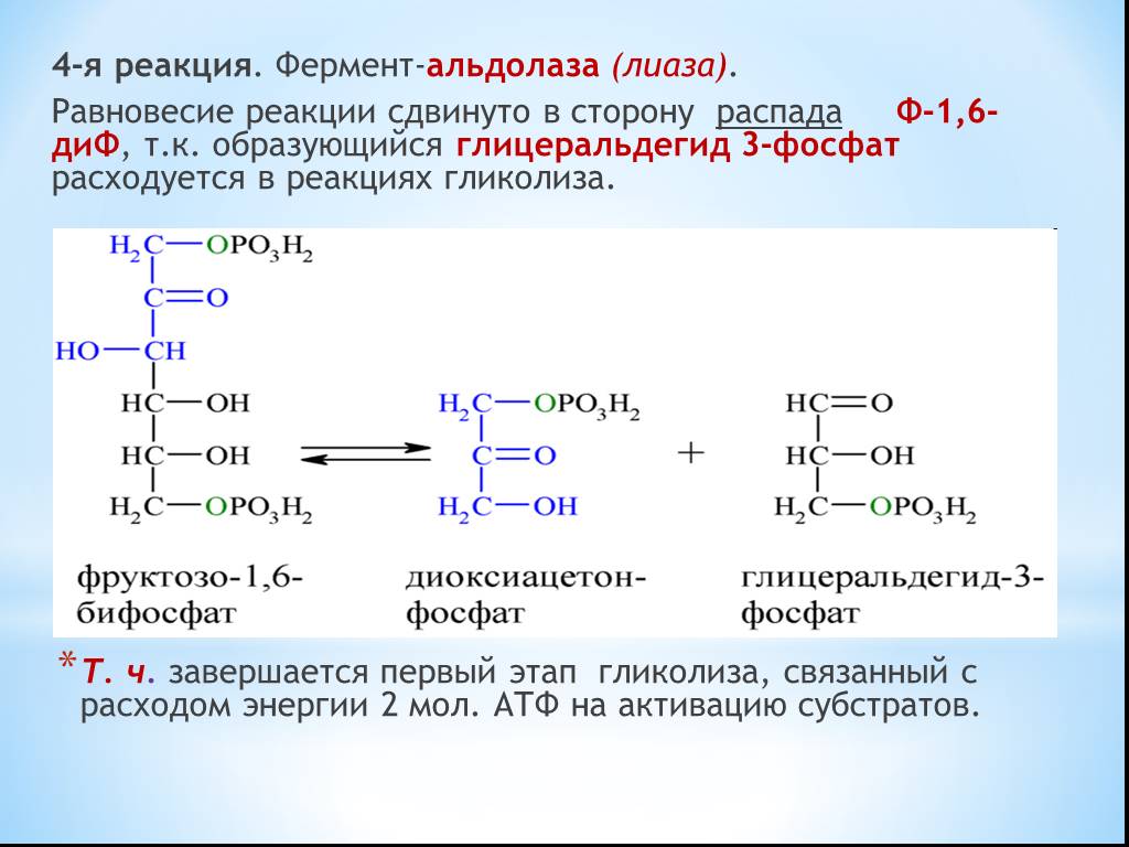 Ферменты примеры реакций. Альдолаза гликолиз. Альдолаза катализирует:. Фруктозодифосфат альдолаза. Альдолазная реакция в гликолизе.