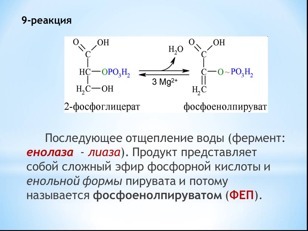 Реакция образования пировиноградной кислоты. Енольная форма пировиноградной кислоты. Пировиноградная кислота кислота енольная форма. ФЕП + енолаза. Енольная форма пировиноградной кислоты + фосфорная кислота.