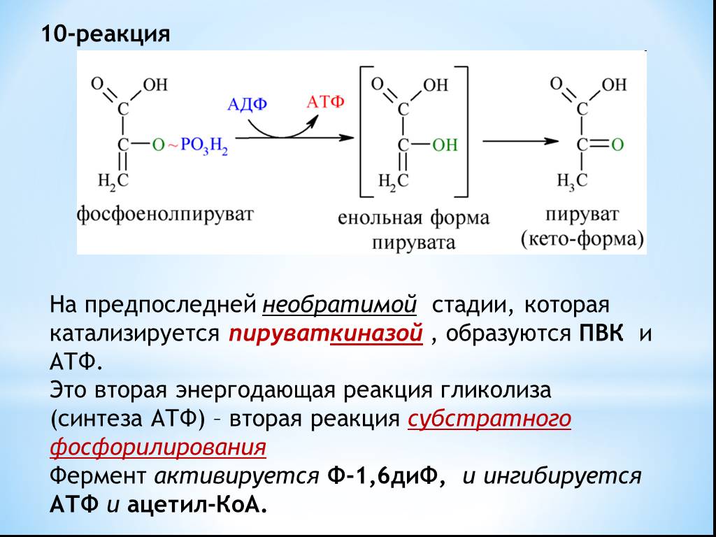 Синтез атф протекает. Енольная форма ПВК. Фосфоенолпируват Синтез АТФ. Енольная форма пировиноградной кислоты. Фосфорилирование пептидов реакция.