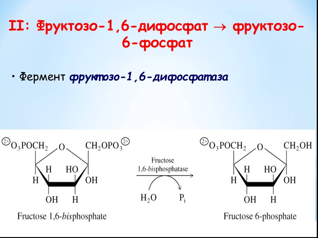 Фруктоза синтез. Фруктозо 6 фосфат формула. Фруктозо-6 фосфат образуется из:. Образование фруктозо 1 фосфата. 1,6-Дифосфат α-d-глюкофуранозы.