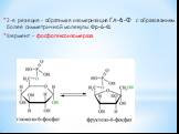2-я реакция - обратимая изомеризация Гл-6-Ф с образованием более симметричной молекулы Фр-6-Ф. Фермент - фосфогексоизомераза