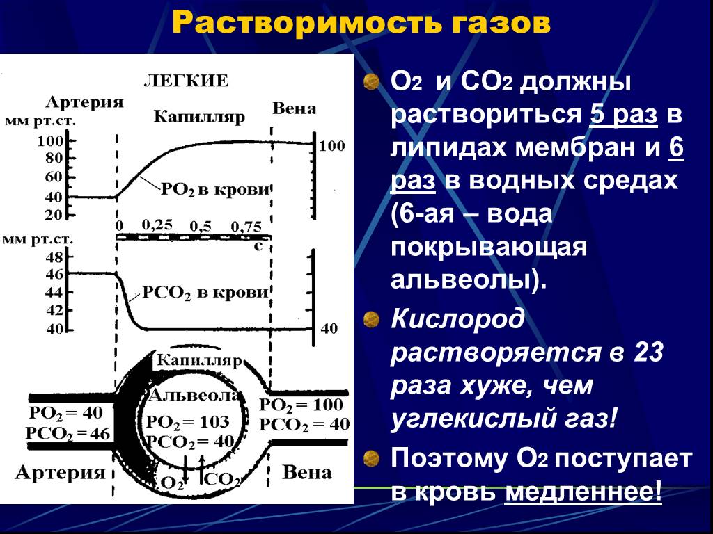 Кислород растворяется. Растворимость кислорода. Кислород о2 растворимость в воде. Растворимость углекислого газа в липидах. Растворимость кислорода в крови.