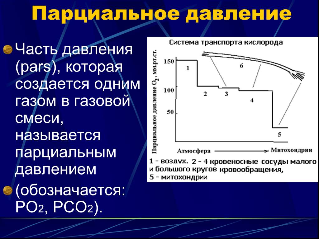 Парциальное давление это. Аарциональное давление. Парциональноедавление. Парционалтнле давление. Порционлаьное давление.