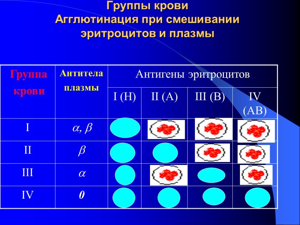 1 группа крови антитела. Агглютинация 2 группы крови. 1 Группа крови агглютинация. Таблица агглютинации групп крови. Агглютинация эритроцитов группа крови.