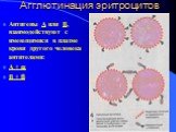 Агглютинация эритроцитов. Антигены А или В, взаимодействуют с имеющимися в плазме крови другого человека антителами: А + a В + b