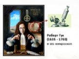 Роберт Гук (1635 - 1703) и его микроскоп