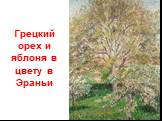 Грецкий орех и яблоня в цвету в Эраньи