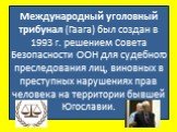 Международный уголовный трибунал (Гаага) был создан в 1993 г. решением Совета Безопасности ООН для судебного преследования лиц, виновных в преступных нарушениях прав человека на территории бывшей Югославии.