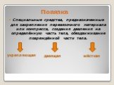 Повязка. Специальные средства, предназначенные для закрепления перевязочного материала или компресса, создания давления на определённую часть тела, обездвиживание повреждённой части тела. укрепляющая давящая жёсткая