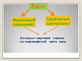 Бинт. Марлевый (плоский). Трубчатые (сетчатые). Фиксация марлевой повязки на повреждённой части тела