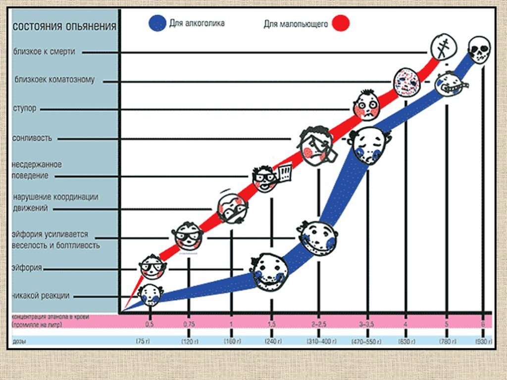 Состояние опьянения. Индивидуальные дозы алкоголя. Шкала алкоголизма. Стадии воздействия алкоголя.