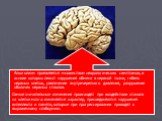 Алкоголизм проявляется множеством неврологических симптомов, в основе которых лежат нарушения обмена в нервной ткани, гибель нервных клеток, увеличение внутричерепного давления, разрушение оболочек нервных стволов. Самые значительные изменения происходят при воздействии этанола на клетки мозга: изме